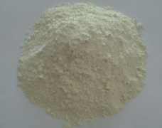 生物環境下氧化鋅納米材料的轉化